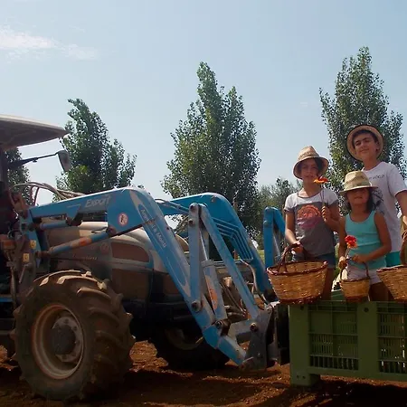 Camping Rurale